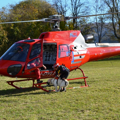 Corso Elicooperazione Cinofili 2015 / 115335