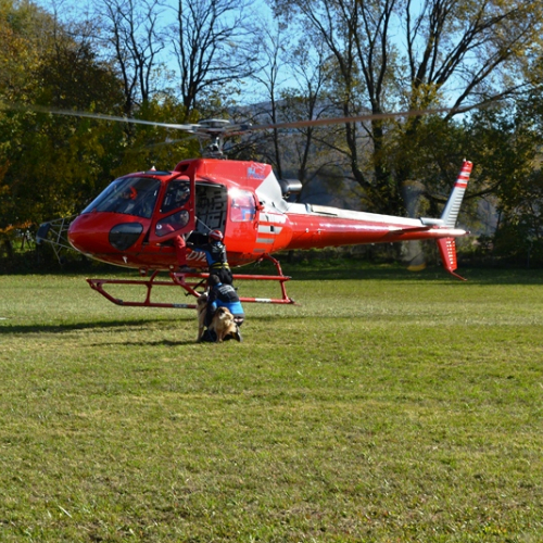Corso Elicooperazione Cinofili 2015 / 115336