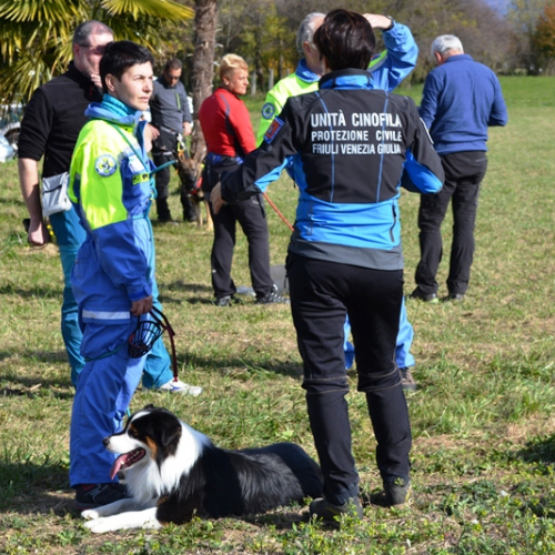 Corso Elicooperazione Cinofili 2015 / 115341