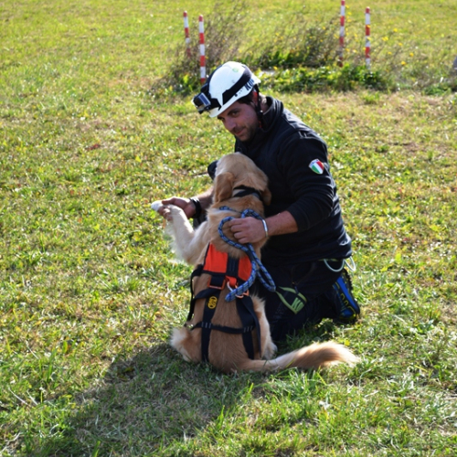 Corso Elicooperazione Cinofili 2015 / 115342