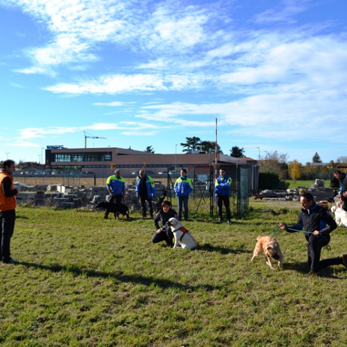 Corso Elicooperazione Cinofili 2015 / 115328
