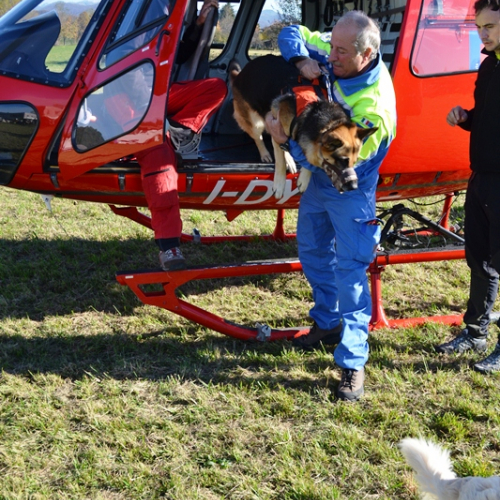 Corso Elicooperazione Cinofili 2015 / 115332