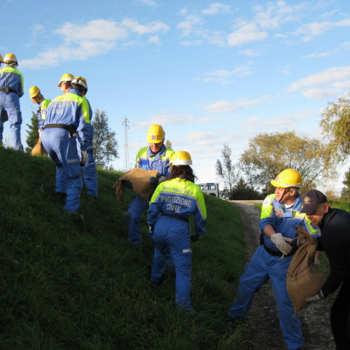 Esercitazione sul Tagliamento n. 10 / 44806