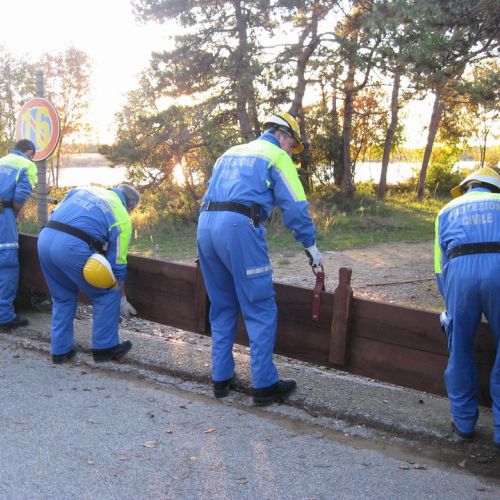 Esercitazione sul Tagliamento n.13 / 44899