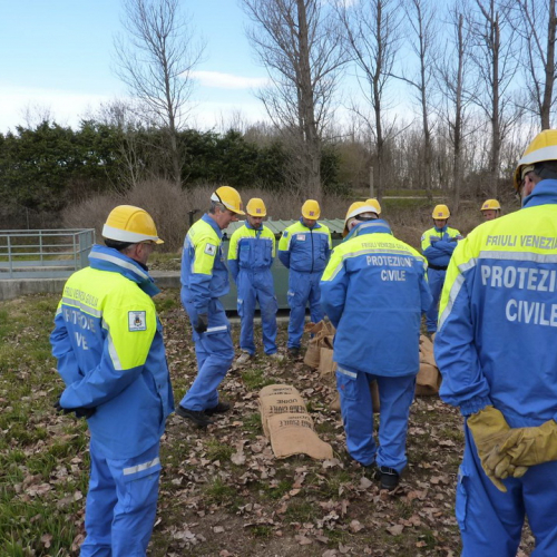 Addestramento 11/03/12 n. 4 / 77482