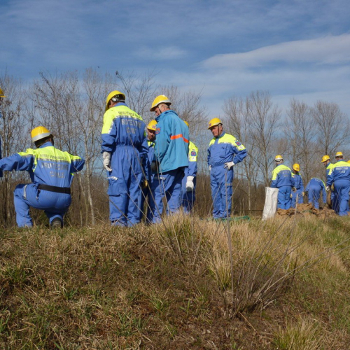 Addestramento 11/03/12 n. 14 / 77492