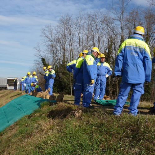 Addestramento 11/03/12 n. 15 / 77493