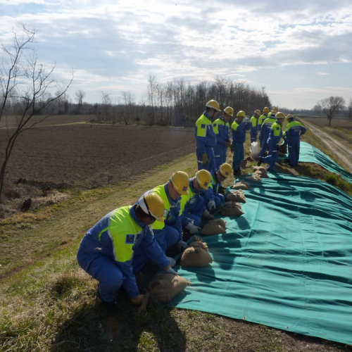 Addestramento 11/03/12 n. 17 / 77495