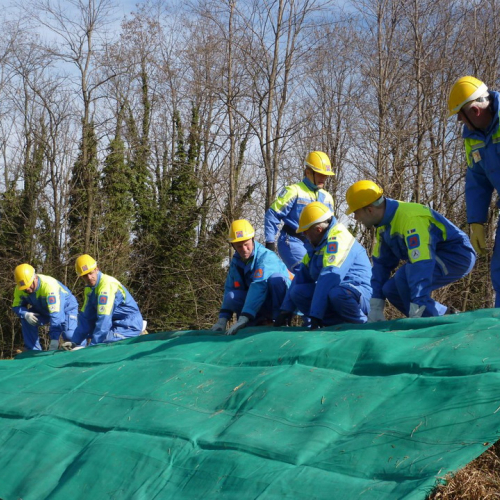 Addestramento 11/03/12 n. 21 / 77499