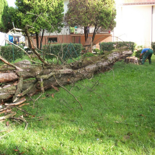 Foto 5 / 111072