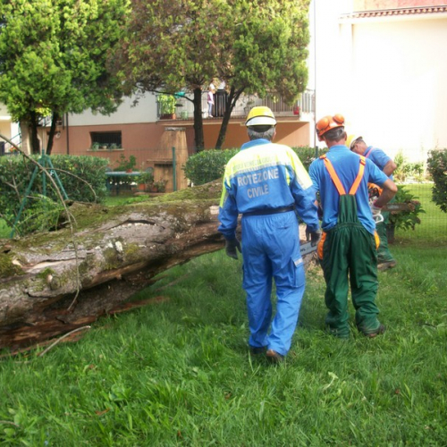 Foto 10 / 111077