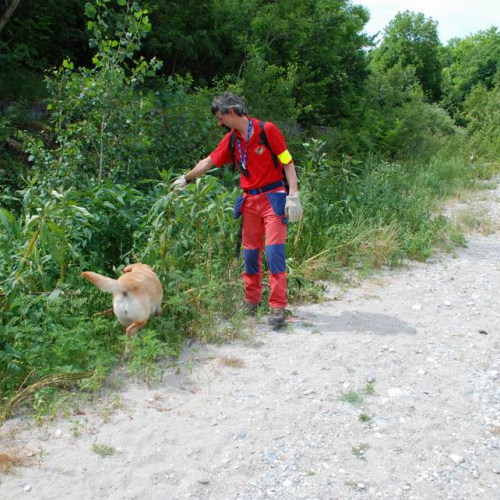Esercitazione Premariacco 29/06 n. 21 / 26816