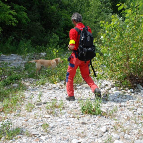 Esercitazione Premariacco 29/06 n. 22 / 26817