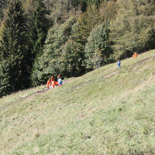 Esercitazione AIB a Lateis n. A 8 / 71219