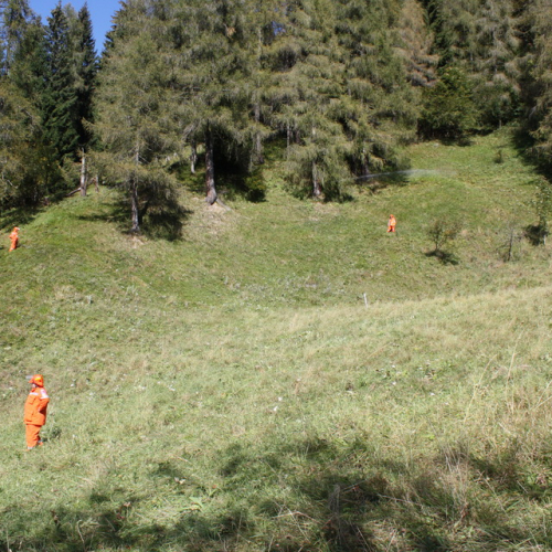 Esercitazione AIB a Lateis n. A 9 / 71220