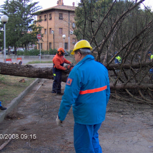 Bassa 2008 a Porpetto n. 16 / 30435