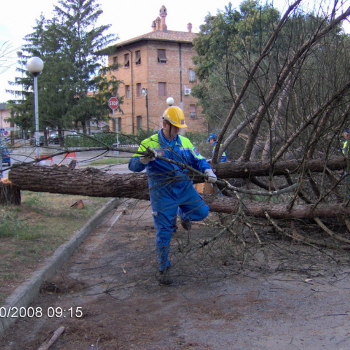 Bassa 2008 a Porpetto n. 17 / 30436