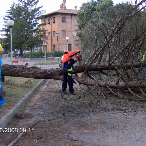 Bassa 2008 a Porpetto n. 18 / 30437