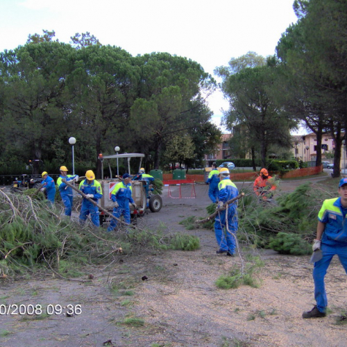 Bassa 2008 a Porpetto n. 20 / 30439