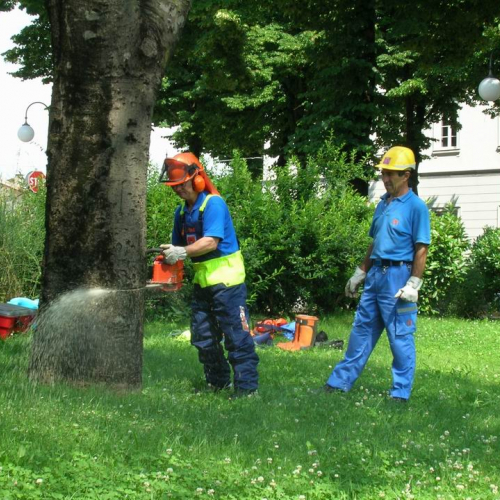 Esercitazione a Martignacco 13 / 14670