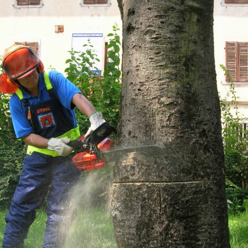 Esercitazione a Martignacco 14 / 14671