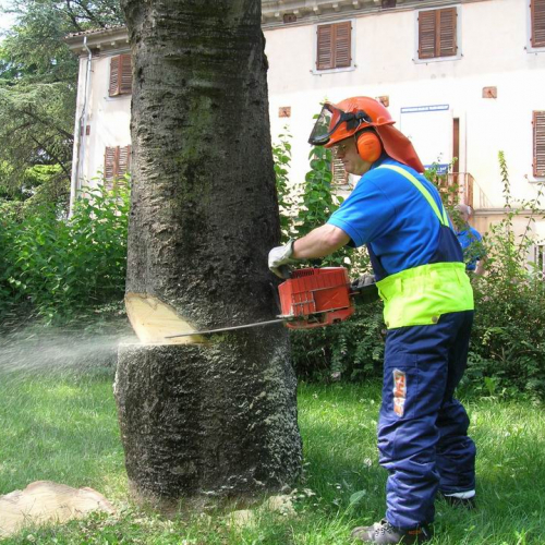 Esercitazione a Martignacco 15 / 14672