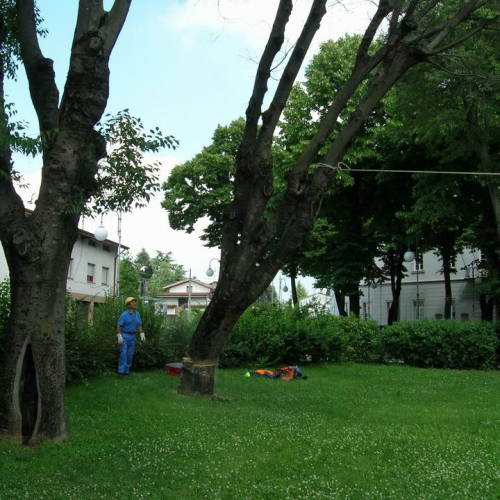 Esercitazione a Martignacco 16 / 14673
