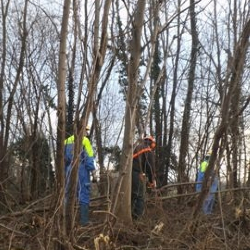 ESERCITAZIONE LAVIA PULITA 2015" foto n.12""SERCITAZIONE "LAVIA PULITA 2""ERCITAZIONE "L""R" / 112702