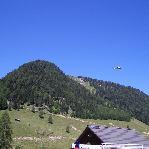 Incontro Sella di Lom - Dolinzia f. 11 / 15646