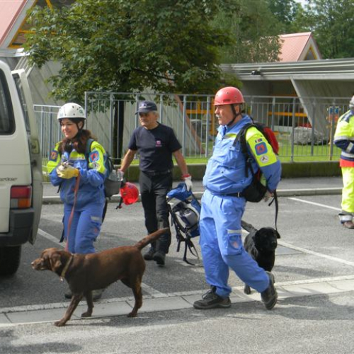 Esercitazione Aree Emergenza 2013" n. 11""sercitazione "Aree Emergen""ercitazione " / 95874