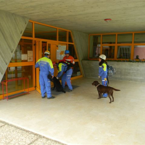 Esercitazione Aree Emergenza 2013" n. 13""sercitazione "Aree Emergen""ercitazione " / 95876