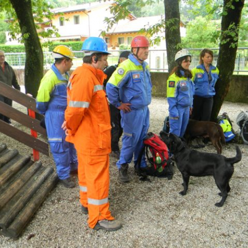 Esercitazione Aree Emergenza 2013" n. 15""sercitazione "Aree Emergen""ercitazione " / 95878
