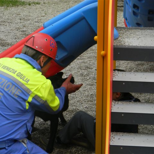 Esercitazione Aree Emergenza 2013" n. 16""sercitazione "Aree Emergen""ercitazione " / 95879