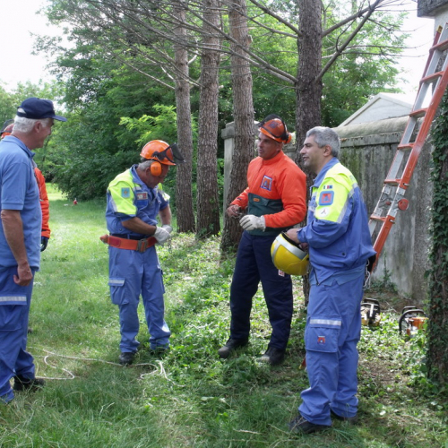 6∞ meeting di Protezione civile - Mereto 2011 n. 58 / 68127