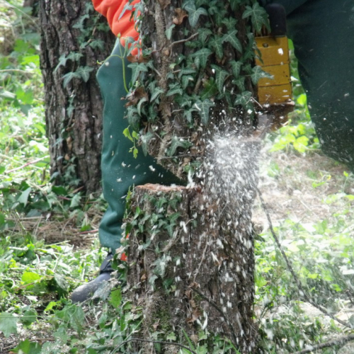 6∞ meeting di Protezione civile - Mereto 2011 n. 60 / 68129