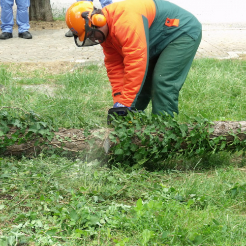 6∞ meeting di Protezione civile - Mereto 2011 n. 62 / 68131