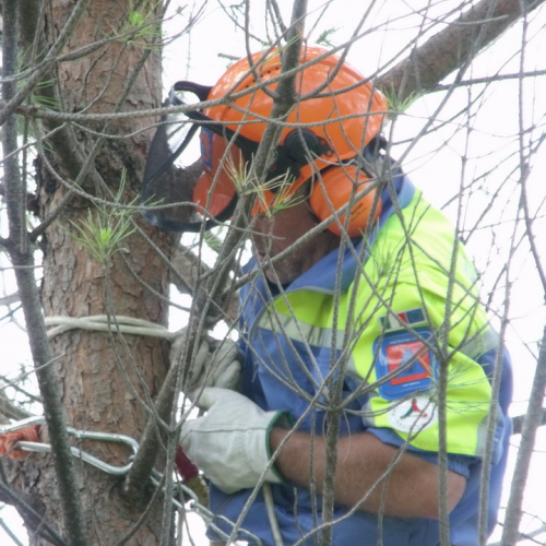6∞ meeting di Protezione civile - Mereto 2011 n. 64 / 68133