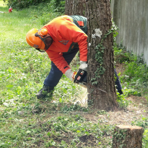 6∞ meeting di Protezione civile - Mereto 2011 n. 65 / 68134