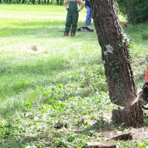 6∞ meeting di Protezione civile - Mereto 2011 n. 66 / 68135
