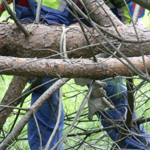 6∞ meeting di Protezione civile - Mereto 2011 n. 67 / 68136