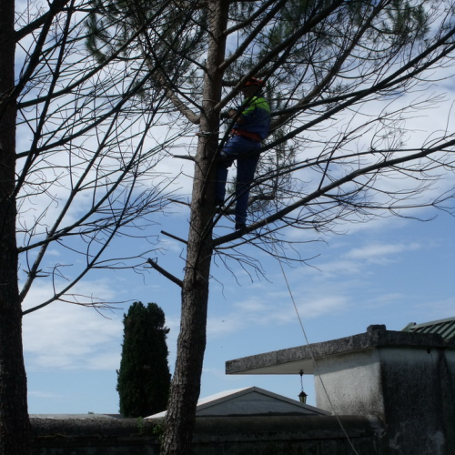 6∞ meeting di Protezione civile - Mereto 2011 n. 68 / 68137