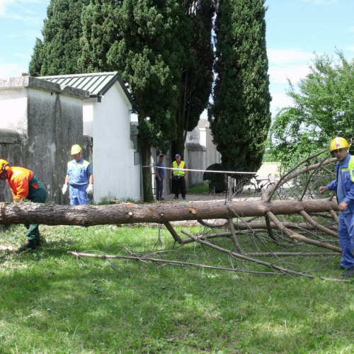6∞ meeting di Protezione civile - Mereto 2011 n. 69 / 68138