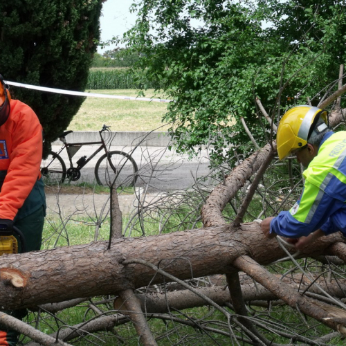 6∞ meeting di Protezione civile - Mereto 2011 n. 70 / 68139