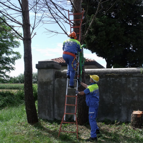 6∞ meeting di Protezione civile - Mereto 2011 n. 72 / 68141