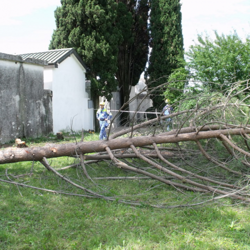 6∞ meeting di Protezione civile - Mereto 2011 n. 73 / 68142