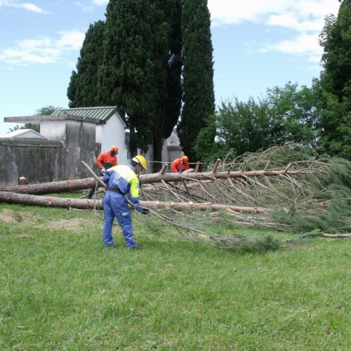 6∞ meeting di Protezione civile - Mereto 2011 n. 79 / 68148