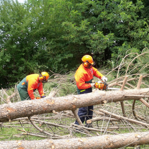 6∞ meeting di Protezione civile - Mereto 2011 n. 80 / 68149