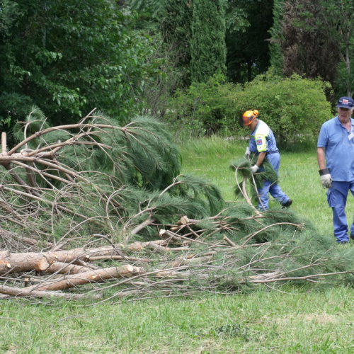 6∞ meeting di Protezione civile - Mereto 2011 n. 81 / 68150