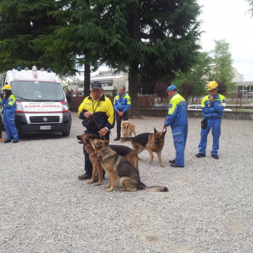 Prove evacuazione complesso scolastico Meduna-Tagliamento n. 4 / 108892