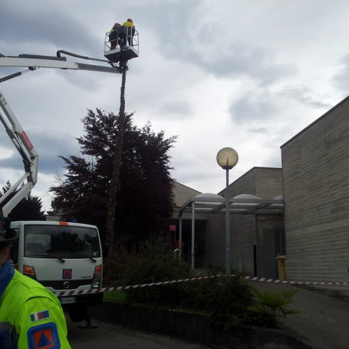 Prove evacuazione complesso scolastico Meduna-Tagliamento n. 8 / 108896